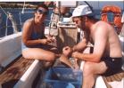 Image11.jpg