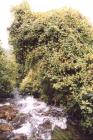 Image49.jpg