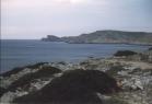 Image4.jpg